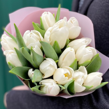 Фотография Букет из 15 белых тюльпанов 