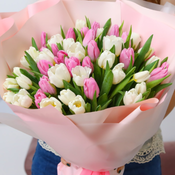 Фотография Букет из 51 розового и белого тюльпана 