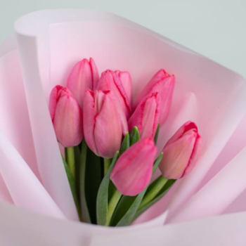 Фотография Букет из 9 розовых тюльпанов 