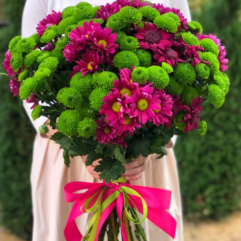 Фотография Букет из 17 розовых и зеленых хризантем 