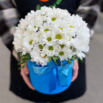 Фотография 5 белых хризантем в голубой шляпной коробке №30 