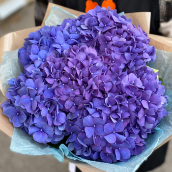 Фотография Букет из 7 синих гортензий 