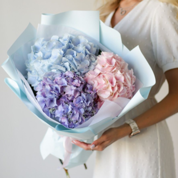 Фотография Букет из гортензий в нежных тонах 