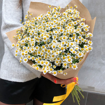 Фотография Букет из 25 ромашек 