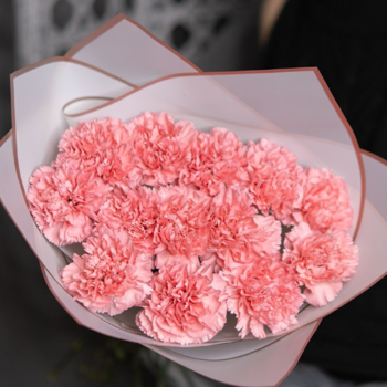 Фотография Букет из 13 розовых гвоздик 