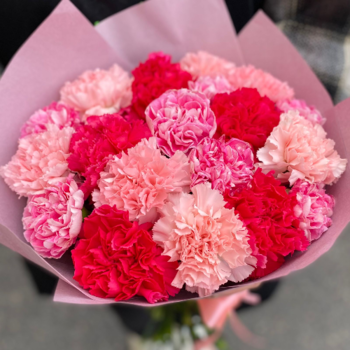 Фотография Букет из 19 гвоздик микс 