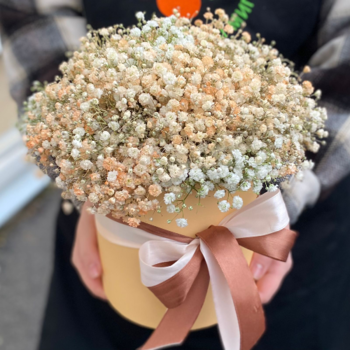 Фотография Шляпная коробка №56 