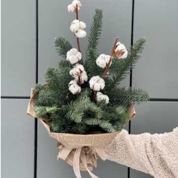 Фотография Букет Новогодний из ели нобилиса и хлопка 