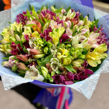 Фотография Букет 51 альстромерия 