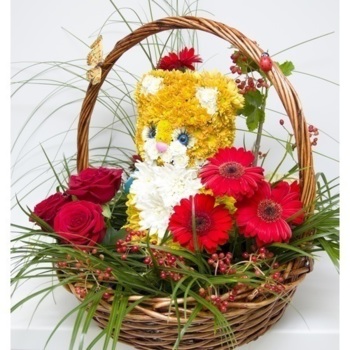 Фотография Котенок в сказочном лесу 