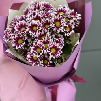 Фотография Букет из 9 малиновых кустовых хризантем 