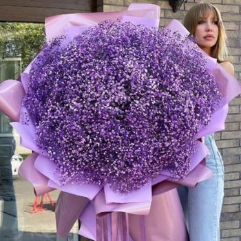 Фотография Букет из 35 фиолетовых гипсофил 