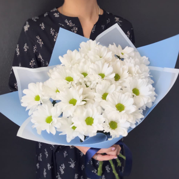 Фотография Букет из 5 белых хризантем 