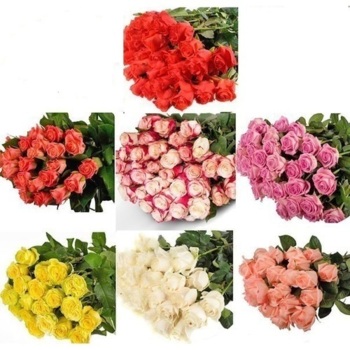 Фотография Букет "Покорить ее за 7 дней" 