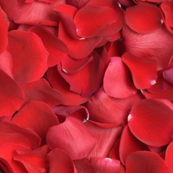 Фотография Лепестки красных роз 3 литра 