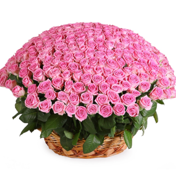 Фотография Корзина 301 розовая роза 