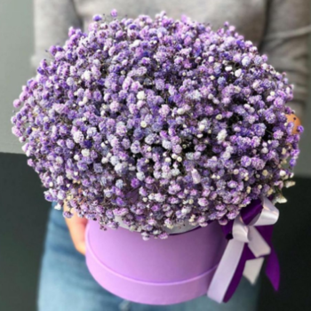 Фотография 9 сиреневых гипсофил в шляпной коробке 