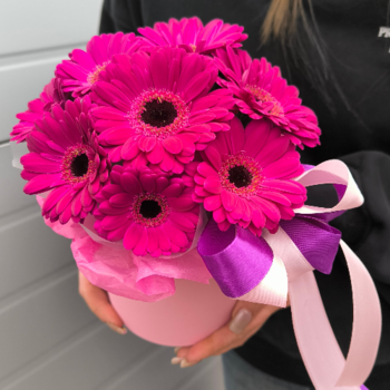 Фотография 11 фиолетовых гербер в шляпной коробке 