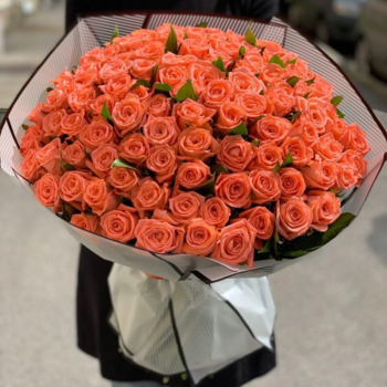 Фотография Букет из 101 роза Анна Карина 