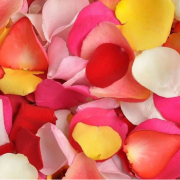 Фотография Лепестки роз микс 5 литров 