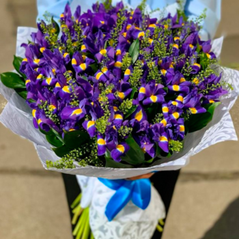 Фотография Букет из 51 ириса с гринбеллом 