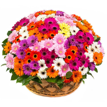 Фотография Корзина с герберами "Яркий вечер" - 51 цветок