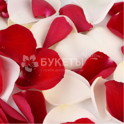 Лепестки красных и белых роз 3 литра