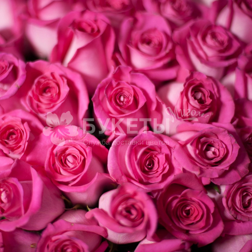 Розовые розы Topaz 40 см