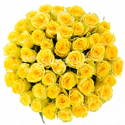 Букет из желтых роз "Голд"