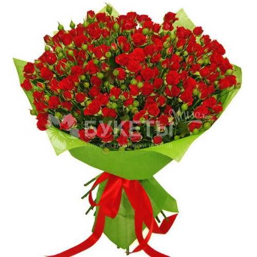 Букет из 35 красных кустовых роз