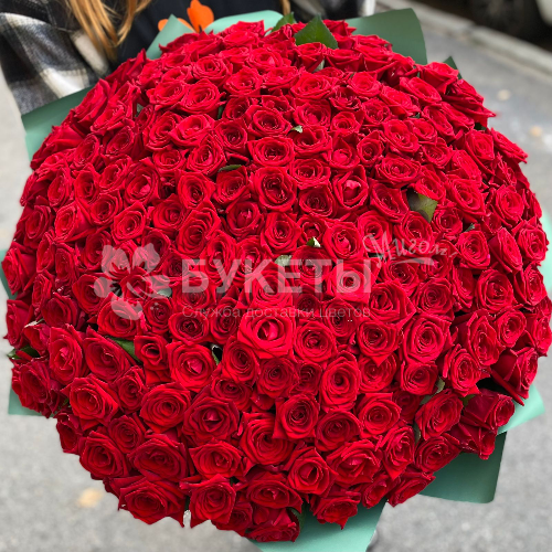 Букет 201 красная роза
