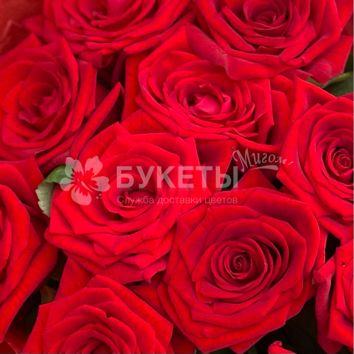 Букет из 15 красных роз "Ред Наоми"