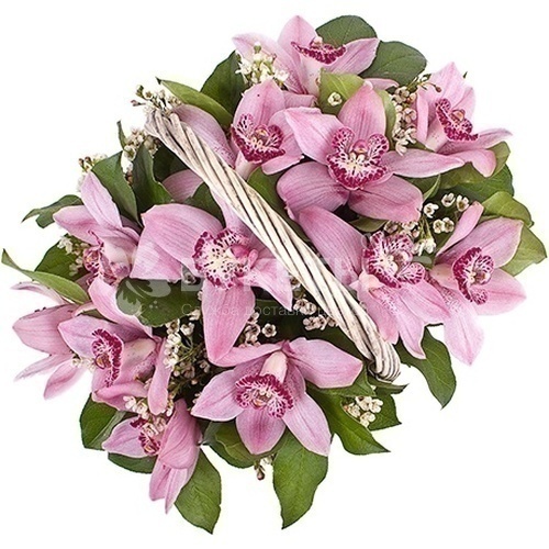 Корзина с орхидеями "Розовая мечта"