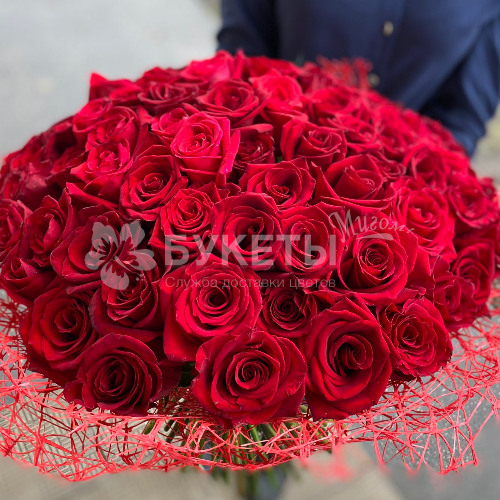 Букет 51 красная роза "Голландия"