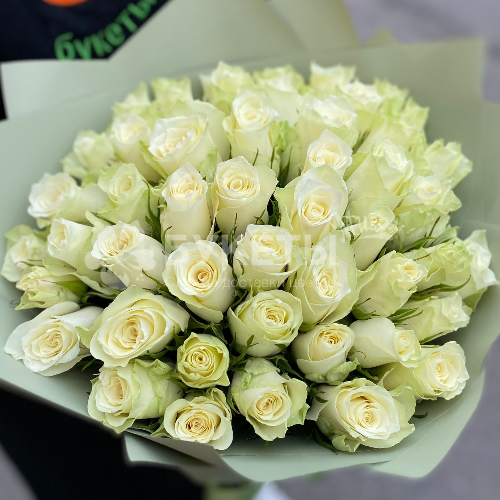 Букет из 51 белой розы "Кения"