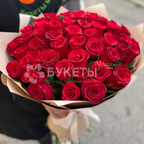 Букет из 51 красной розы "Родос"