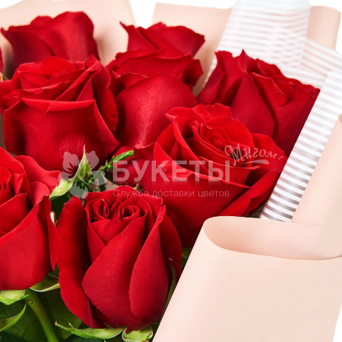 Букет из 15 красных роз "Експлорер"