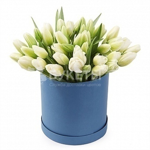 31 белый тюльпан в голубой шляпной коробке №15