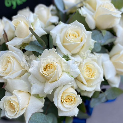 19 белых роз с эвкалиптом в шляпной коробке