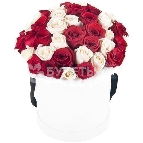 25 красных и белых роз в белой шляпной коробке №12