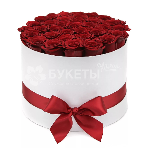 35 красных роз в белой коробке