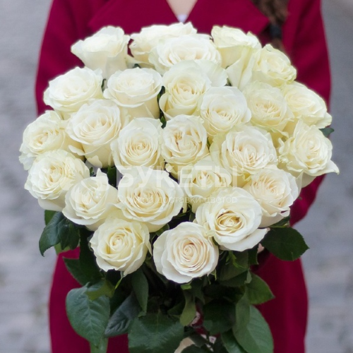 Букет из 25 белых роз "Уайт"