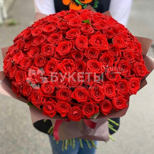 Букет 101 красная роза "Голландия"