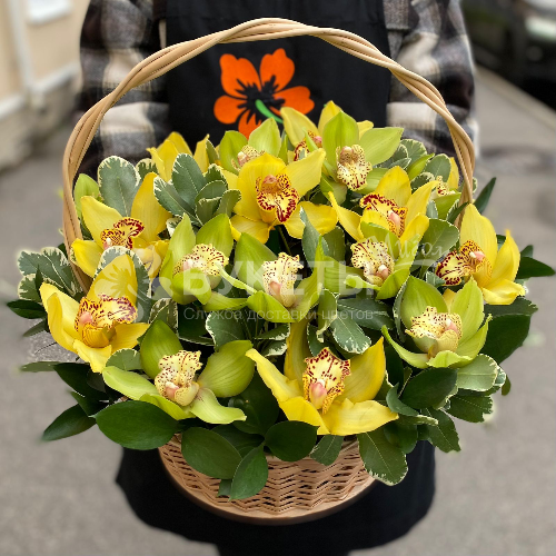Корзина с орхидеями "Свежесть весны"