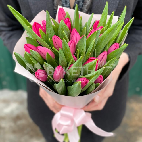 Букет из 25 ярко-розовых тюльпанов