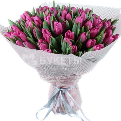 Букет из 75 фиолетовых тюльпанов