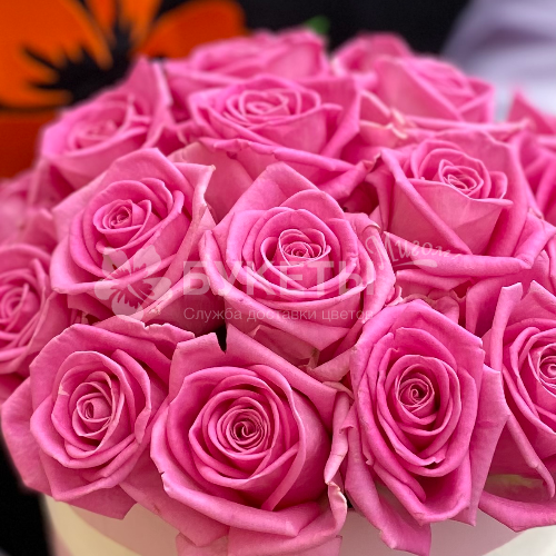 19 розовых роз в розовой шляпной коробке №9