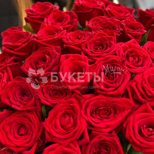 Букет красных роз VIP (70 см)