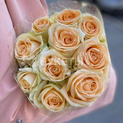 Кремовые розы "Пич Аваланш" 40 см (10 шт)