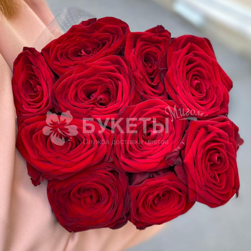 Красные розы "Ред Наоми" 60 см (10 шт)